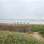 Hilton Garden Inn - South Padre Island