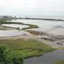 South Padre Island Birding and Nature Center & Alligator Sanctuary
