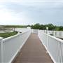 South Padre Island Birding and Nature Center & Alligator Sanctuary