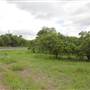 Loop Farms Inc