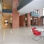 Trinity University