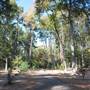 Gayla Mize Garden