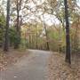 Davey Dogwood Park