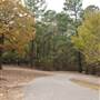 Davey Dogwood Park