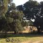 Old Ponderosa Ranch