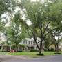 Graham Residential