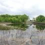 Cedar Hill State Park