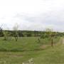 Cedar Hill State Park - Talala Trail