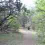 Cedar Hill State Park - Talala Trail