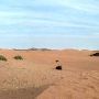 Red Sands
