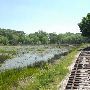 Texas State Railroad