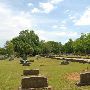 Cemetery in Palestine