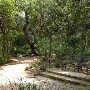 Zilker Botanical Gardens