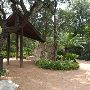 Zilker Botanical Gardens