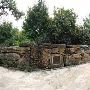 Zilker Botanical Gardens