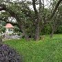 Zilker Botanical Gardens