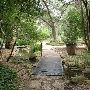 Zilker Botanical Gardens