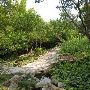 Zilker Botanical Gardens