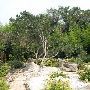 Zilker Botanical Gardens
