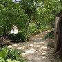 Zilker Botanical Gardens