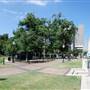 Travis Park
