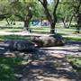 Liberty Hill Sculpture Garden