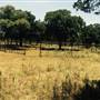 Trails End Ranch