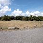 Louise Hays Park