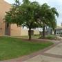 Waco Convention Center