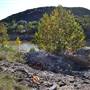 Madrone Ranch