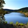 Madrone Ranch