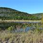 Madrone Ranch