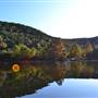 Madrone Ranch