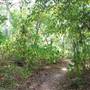 Quitman Arboretum