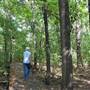 Quitman Arboretum