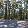 Tyler State Park