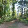 Tyler State Park