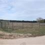 Longhorn River Ranch