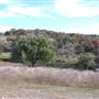 Longhorn River Ranch