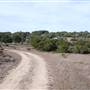 Longhorn River Ranch