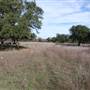 Longhorn River Ranch
