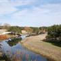 Longhorn River Ranch