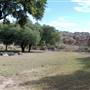 Longhorn River Ranch