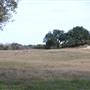 Longhorn River Ranch