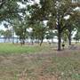 Lake Bastrop - North Shore Park