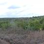 McKinney Roughs Nature Park