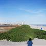 Beach Pocket Park #1
