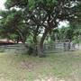 Storm Ranch