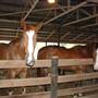 Storm Ranch