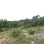 Storm Ranch